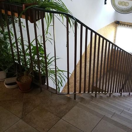 Dom Sportowca Roko Lägenhet Gdańsk Exteriör bild